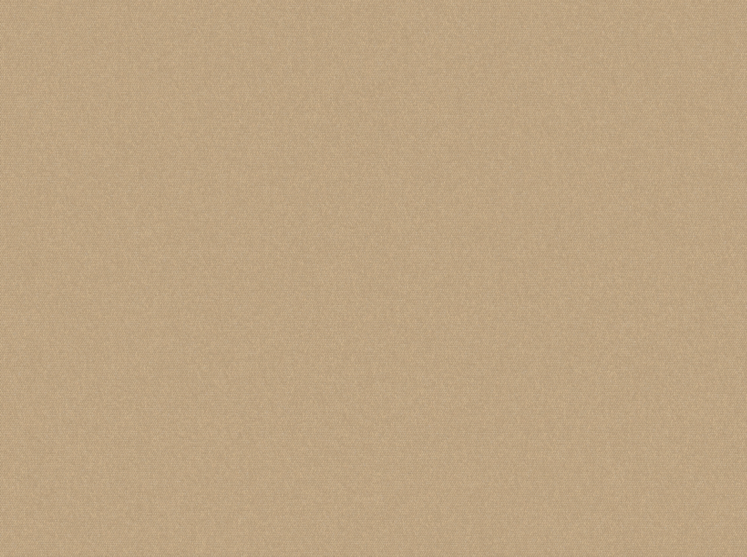 Elements / Camel (314 040) Elements / Camel (314 040)